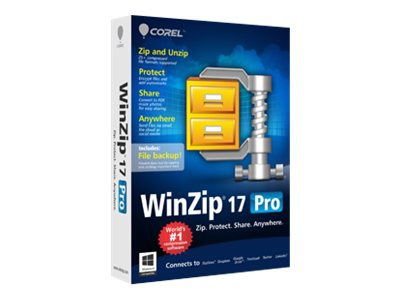 WinZip Pro - ( v. 17 ) - license