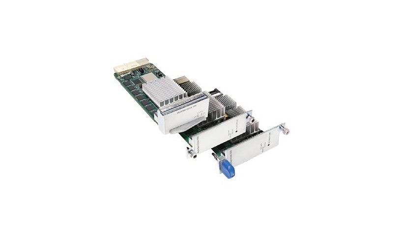 Juniper Networks Multiservices PIC Type 1 - expansion module