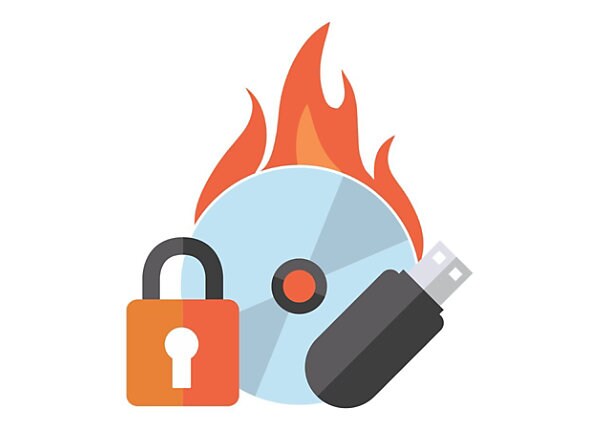 Roxio Secure Burn - license - 1 user