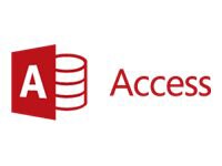 Microsoft Access 2013 License Level B
