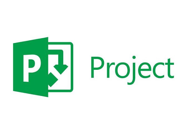 Microsoft Project Professional 2013 - license