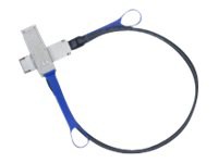 Mellanox Passive Copper Cables - InfiniBand cable - 3.3 ft