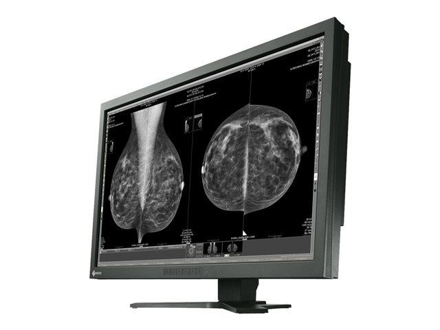 EIZO RadiForce GX1030-CL - LCD monitor - 10MP - grayscale - 30"