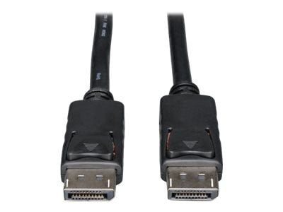 Eaton Tripp Lite Series DisplayPort Cable with Latches (M/M) 100 ft. (30.5 m) - DisplayPort cable - 100 ft