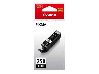 Canon PGI-250PGBK - pigmented black - original - ink tank