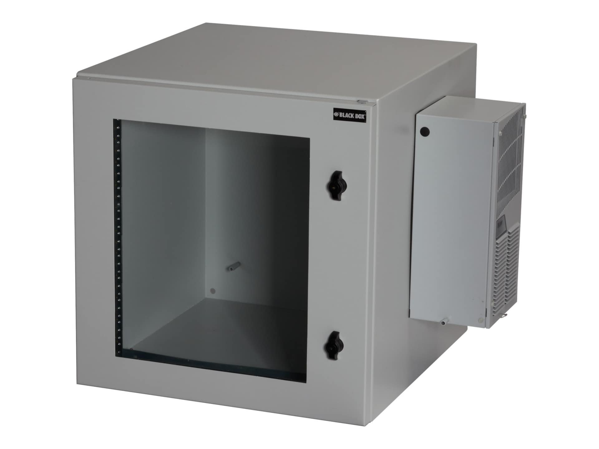 Black Box ClimateCab NEMA 12 Wallmount Cabinet with Air Conditioning - cabinet - 12U