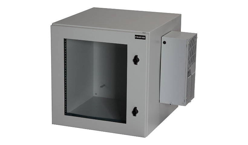 Black Box ClimateCab NEMA 12 Wallmount Cabinet with Air Conditioning cabine
