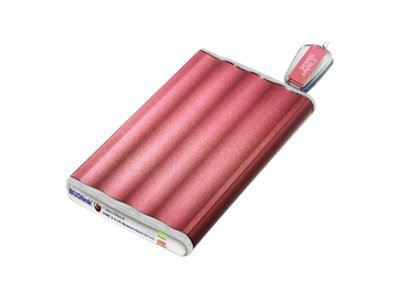 BUSlink CipherShield Slim Line Encrypted DSC-320-U2 - hard drive - 320 GB - USB 2.0