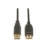 Eaton Tripp Lite Series USB 2.0 Extension Cable (A M/F) 16 ft. (4.88 m) - USB extension cable - USB to USB - 16 ft