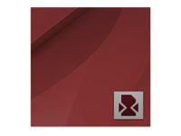 Adobe LeanPrint Small Business Edition ( v. 1 ) - license