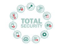 Kaspersky Total Security for Business - competitive upgrade subscription license (2 years) - 1 node