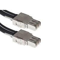 Cisco StackWise 480 - stacking cable - 3.3 ft
