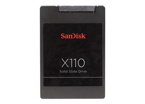 SanDisk X110 - solid state drive - 256 GB - SATA 6Gb/s