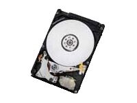 HGST Travelstar 7K1000 1 TB Internal HDD