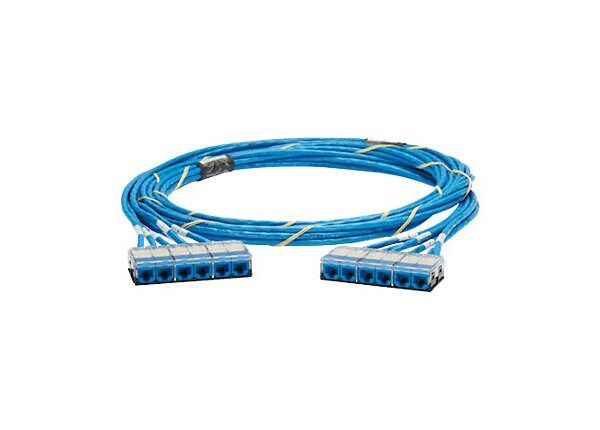 Panduit QuickNet Cable Assembly - network cable - 30 ft - blue