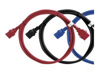 Raritan SecureLock power cable - 3 ft