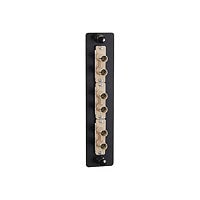 Black Box Standard Adapter Panel Bronze Sleeves - patch panel
