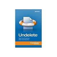 Undelete Server Edition (v. 10) - upgrade license - 1 server