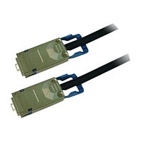 Cisco StackWise Plus - stacking cable - 1 m