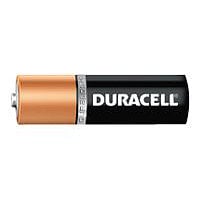 Duracell CopperTop MN1500 battery - 24 x AA type - alkaline