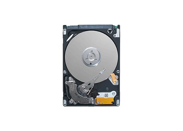 Seagate Momentus STBD1000100 - hard drive - 1 TB - SATA 3Gb/s