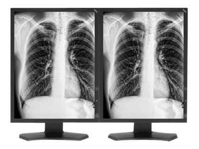 NEC MDG3-BNDA1 - LCD monitor - 3MP - grayscale - 21.3" - with AMD FirePro W5000 dual Display Port Video Card