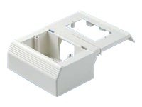 Panduit Workstation Outlet Center Offset Box - cable raceway offset box