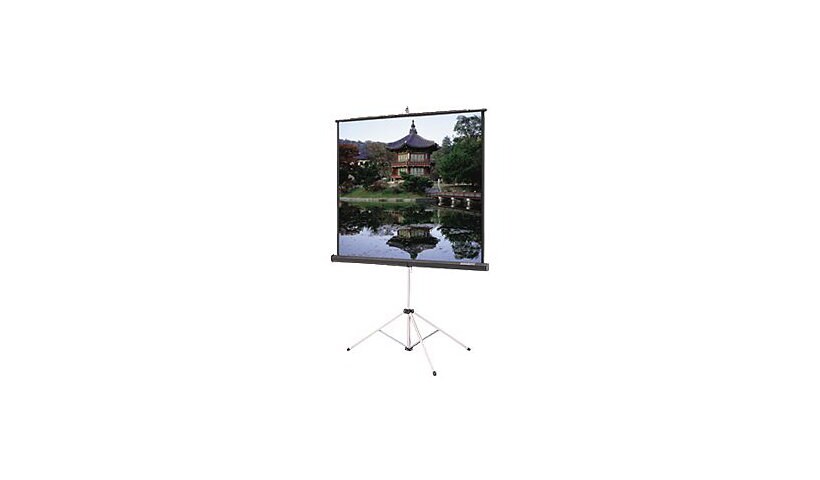Da-Lite Picture King with Keystone Eliminator - projection screen with trip