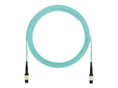 Panduit QuickNet MTP Interconnect Cable Assemblies - patch cable - 12.2 m -