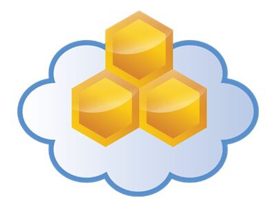 Aerohive HiveManager Online for Cloud VPN Gateway - subscription license (3 years) - 1 device