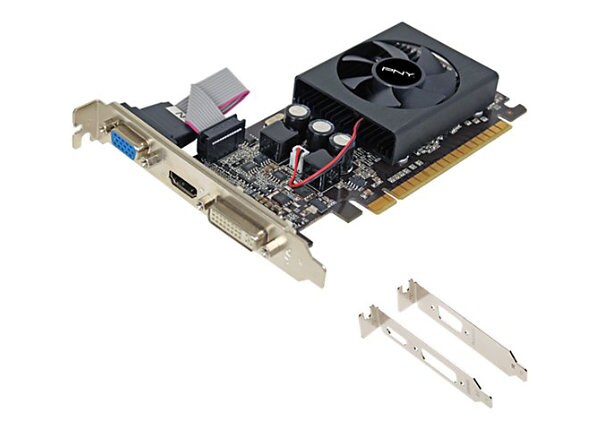 PNY GeForce GT 610 graphics card - GF GT 610 - 1 GB