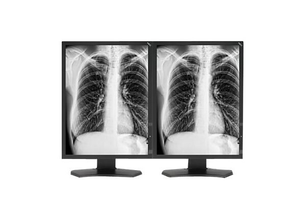 NEC MDG3-BNDA1 - LCD monitor - 3MP - grayscale - 21.3" - with AMD FirePro W5000 dual Display Port Video Card