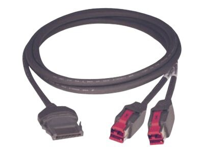 CyberData USB / power cable - 10 ft