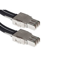 Cisco 3.3' StackWise 480 Stacking Cable