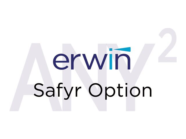 erwin Safyr Additional Platform for Oracle eBusiness Suite (v. 6.0) - product upgrade license
