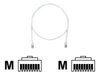 Panduit TX5e patch cable - 6 ft - off white