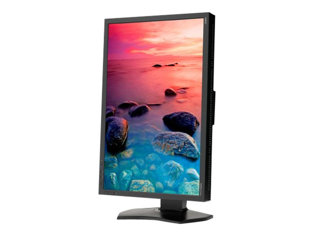 NEC MultiSync P242W-BK - LED monitor - 24"