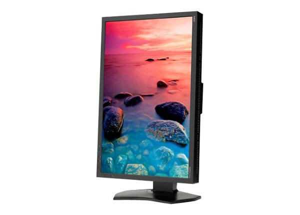 NEC MultiSync P242W-BK - LED monitor - 24"