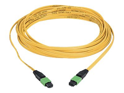 Panduit QuickNet MTP Interconnect Cable Assemblies - network cable - 10 m -