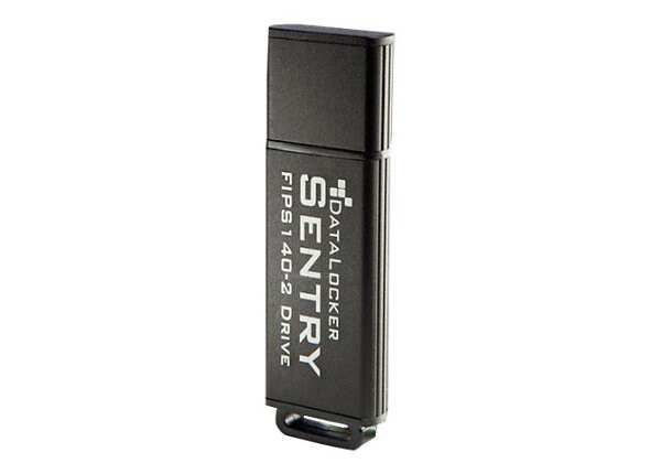 DataLocker Sentry DLSF4 - USB flash drive - 4 GB