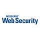 Websense Web Security - subscription license (22 months) - 500 a...