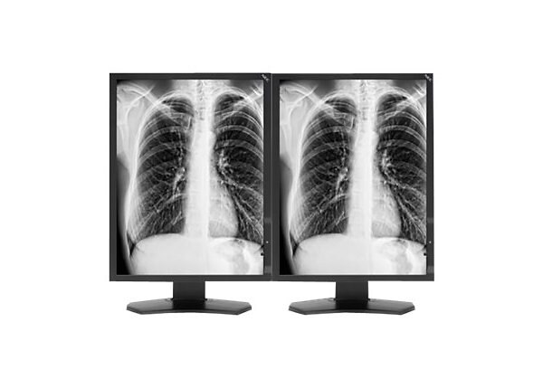 NEC MultiSync MDG3-BNDN1 - LCD monitor - 3MP - grayscale - 21.3" - with NVIDIA Quadro K2000 PCIe Video Card
