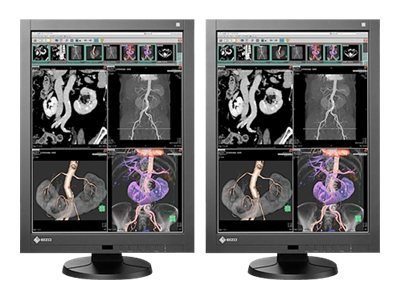 EIZO RadiForce RX340 Dual Head - LED monitor - 3MP - color - 21.2" - with NVIDIA Quadro 2000D PCIe graphics adapter