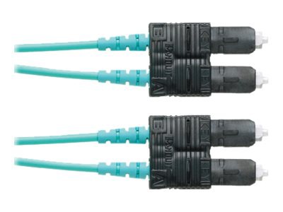 Panduit Opti-Core patch cable - 3 m