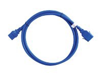 Raritan SecureLock power cable - 3 ft