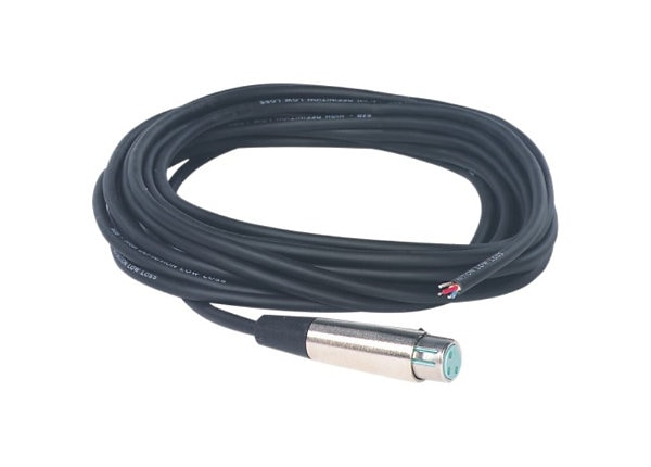 AudioCodes phone cable - 33 ft