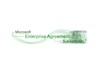 Microsoft Exchange Online Plan 2G - subscription license - 1 user