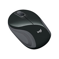 Logitech M187 - mouse - 2.4 GHz - black