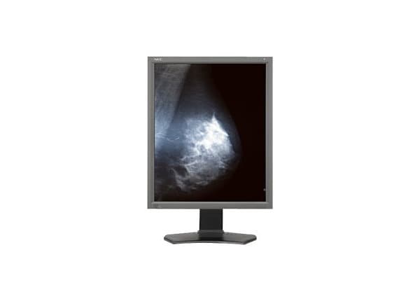 NEC MultiSync MD211G5 - LED monitor - 5MP - color - 21.3"