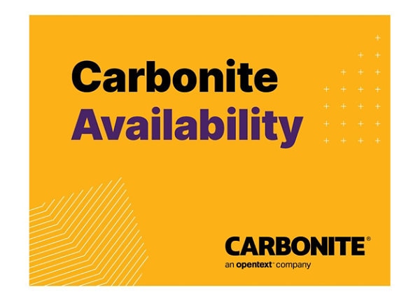 CARBONITE DOUBLE TAKE AVAIL F/WIN 1Y